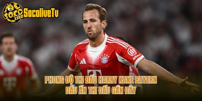 Phong Độ Thi Đấu Harry Kane Bayern - Dấu Ấn Thi Đấu Gần Đây