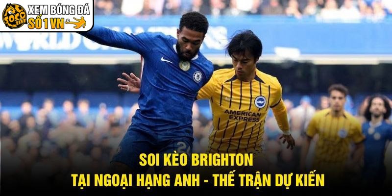 Soi Kèo Brighton Tại Ngoại Hạng Anh – Thế Trận Dự Kiến