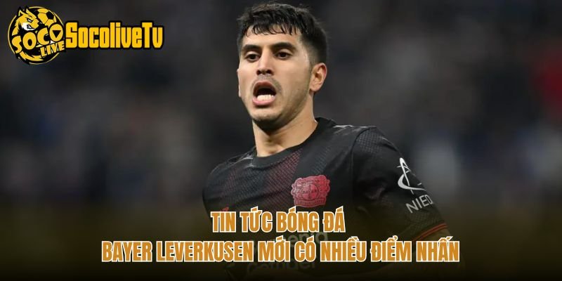 Tin Tức Bóng Đá Bayer Leverkusen Mới Có Nhiều Điểm Nhấn